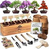 AVERGO Bonsai Tree Kit for Beginners – 5X Unique Japanese Bonzai Trees | Complete Indoor Starter Kit for Growing Plants with Bonsai Seeds, Tools & Planters – Gardening Gifts for Women & Men