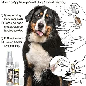 The Blissful Dog Bernese Mountain Dog Age Well Spray Aromatherapy