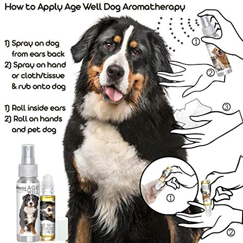 The Blissful Dog Bernese Mountain Dog Age Well Spray Aromatherapy The Blissful Dog Bernese Mountain Dog Age Well Spray Aromatherapy