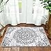 HEBE Washable Area Rug - 2'x3' Non Slip Soft Distressed Medallion Bedroom Boho Living Room Accent Throw Vintage Entry Floor Carpet for Dining Room Bathroom Entryway