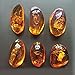 VORCOOL 5pcs Amber Fossil with Insects Samples Stones Crystal Specimens Home Decorations Collection Oval Pendant (Random Pattern)