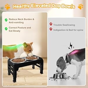 Elevated Dog Bowls for Small Medium Dogs 3 Height Adjustable Raised Dog Bowl Stand with 2 Thick 6 Stainless Steel Dog Food Bowls Nonslip Dog Feeder Adjusts to 275 6 75 Black  Cucciolini Doodles Elevated dog bowls for small medium dogs 3 height adjustable raised dog bowl stand with 2 thick 6 stainless steel dog food bowls non slip dog feeder adjusts to 2 75 6 7 5 black   cucciolini doodles
