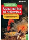 Fauna marina del Mediterráneo : animales inferiores y peces