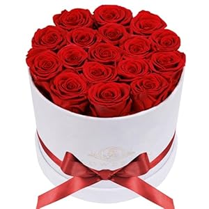 17 Flowers in a Luxury Suede Box, B...