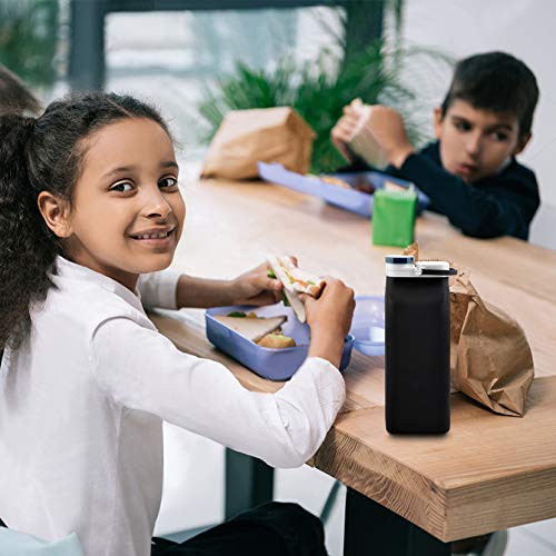 E-Senior Collapsible Water Bottle Bpa Free - Foldable Water Bottle For Travel Sports Bottles With Triple Leak Proof Lightweight 20Oz (Black) #TOP4