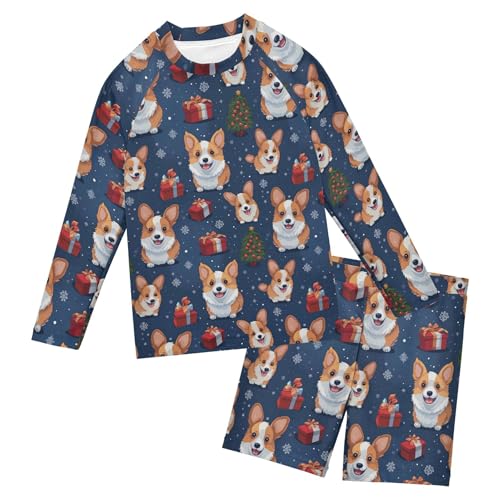 Dog Puppy Pug Animal Cute Baby Boys' Toddler Long Sleeved Rashguard Swim Bathing Suit Set B0402801