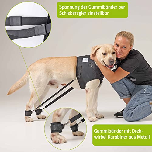 Nature Pet Hundeexpander & Rehageschirr für Hunde – Flexipander zur Rehabilitation, Mobilitätshilfe & sanften Unterstützung L