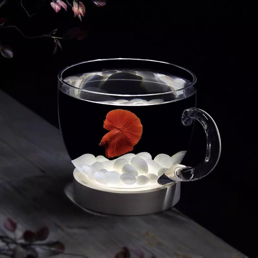 Acquario A Forma di Ciotola da 0,58 Galloni, Vaso per Piante Idroponiche in Vetro Trasparente, Piccolo Acquario con Accessori Decorativi, Ciotola per Pesci Rotonda Multiuso,D