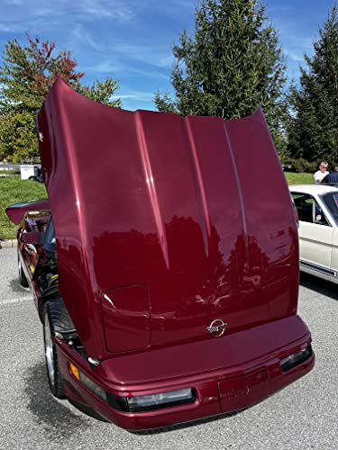 Auto Paint Depot Clear Coat (½ Oz Clear Coat) #TOP7