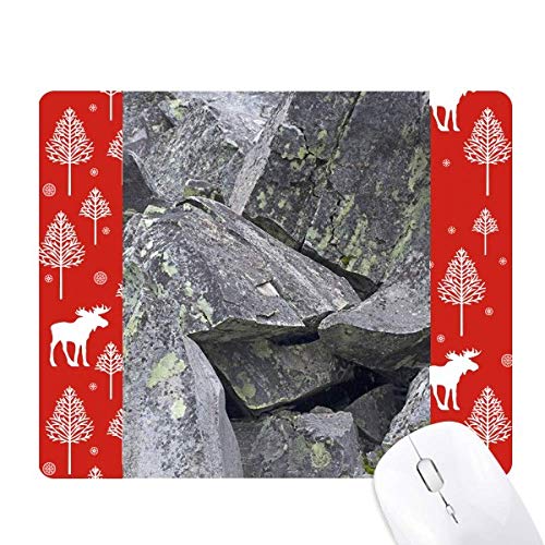 Papier peint forêt et souris de Noël pour chambre d'enfant