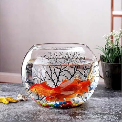 テラリウム 瓶」の人気商品一覧 | 安い商品を通販サイトから探す