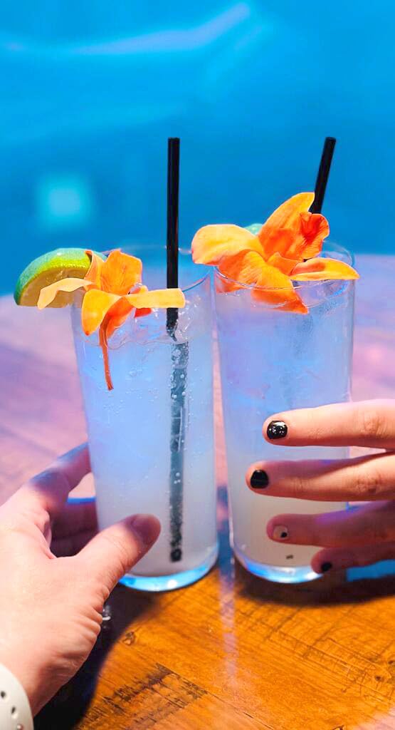 Miami Fresh Orchid Flower OrchidClub USA Sunne Tropical Loose Bloom DIY Lei food drink decoration (100 DUO ORANGE)