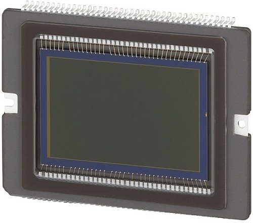 Canon EOS-1D Mark III デジタル一眼レフ Amazon | Canon デジタル一眼レフカメラ EOS-1DMK3 EOS-1D MARK III(JP