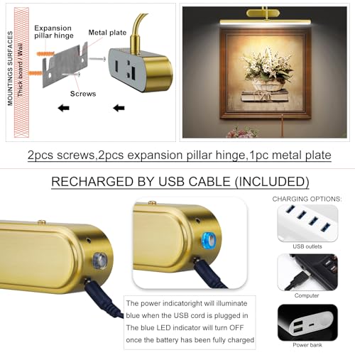 Image of RAIFOOLLY Picture Light,Wireless Art Lights for Paintings,15.9 inch Battery Operated Wall Lights,Remote Accent Lighting with Timer and Dimmable for Frame,Portrait,Dartboard-Brass
