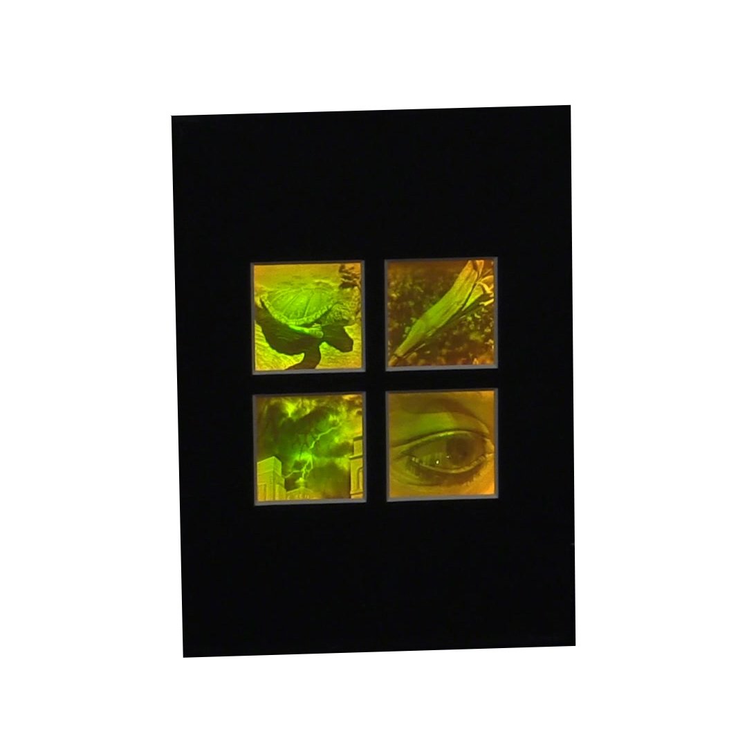 3D Nature 4-up 2-Channel Hologram Picture (MATTED), Collectible Photopolymer Film