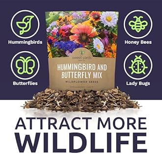 1 OZ | Hummingbird and Butterfly Wildflower Mix