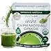 Encha Ceremonial Organic Matcha (USDA Organic Certificate and Antioxidant Content Listed, Premium First Harvest Directly from Farm in Uji, Japan, 30g/1.06oz in Resealable Pouch)