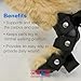 OrthoVet Standard Rear Splint for Cats with Injuries, Arthritis, Fractures or Sprains, Durable & Lightweight Rear Splints for Rehability Treatment & Post-Surgery Protection for Pets - XXS