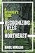A Beginner's Guide to Recognizing Trees of the Northeast