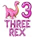 Baby Girl Hot Pink Dinosaur Themed Balloons Three Rex Birthday Balloons 4D Dinosaur balloon Party Decorations Dinosaur 3rd Birthday Balloons Party Supplies
