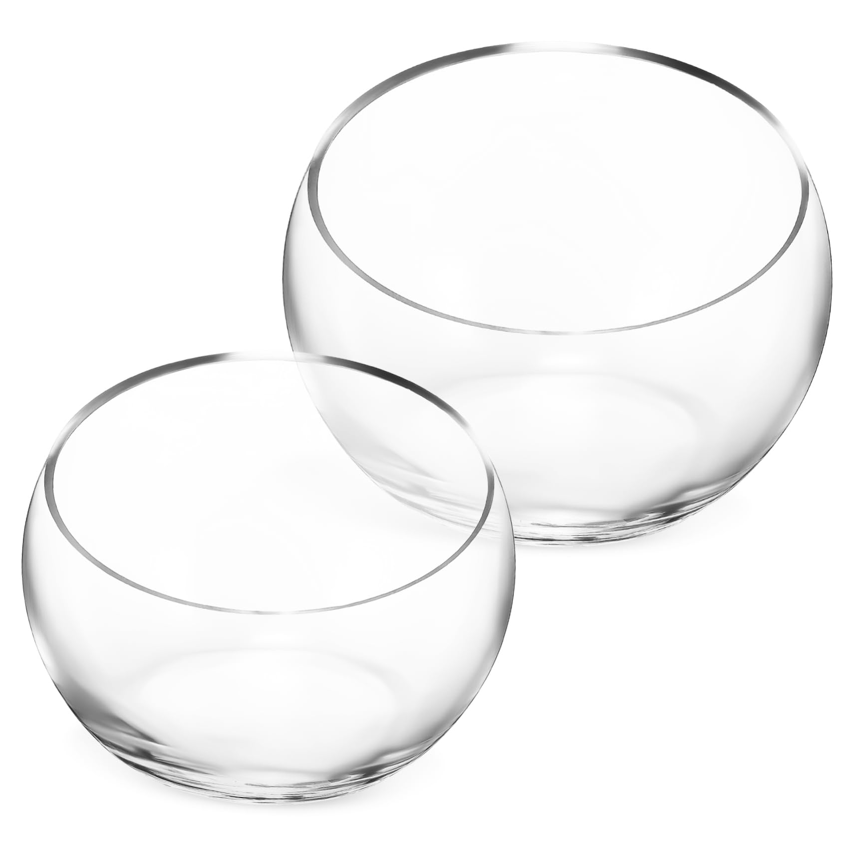 Bol en verre pour succulentes de haute transparence au design épuré