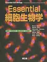 エッセンシャル細胞生物学 自作問題集 Essential細胞生物学(原書第5版) | 中村桂子, 松原謙一, 榊佳之