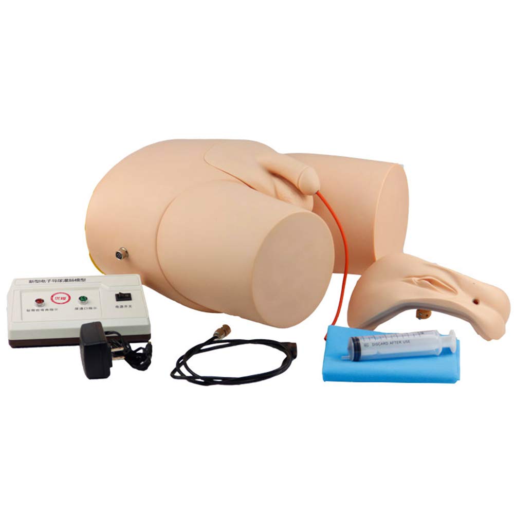 Simulateur De Formation Au Cathétérisme - Modèle Pédagogique De Mannequin Pour La Pratique De L'Enseignement Du Cathétérisme Électronique Et Des Lavements - Modèle De Cathétérisme Interchangeable Hom