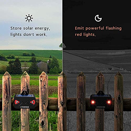 Lycoming Predator Control Light Coyote Deterrent 2 Pack And Univerayo Solar Predator Lights For Yard Chickens Coop Raccoon Fox Skunk Deer Repellent 4 Pack Bundle #TOP6