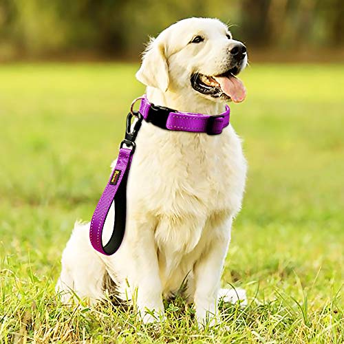 Plutus Pet 10” Short Dog Leash, Reflective Nylon Padded Handle, Strong Traffic Leash With Carabiner Clip, Perfect For Large Or Medium Dogs（10”，Purple #TOP5
