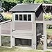 COLORPAPA 2 Pack Shed Windows, 10