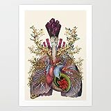 Vehfa Adore Anatomical Heart Lungs Collage Canvas Wall Art for Home Decoration Wooden Framed 16