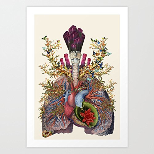 Vehfa Adore Anatomical Heart Lungs Collage Canvas Wall Art for Home Decoration Wooden Framed 16