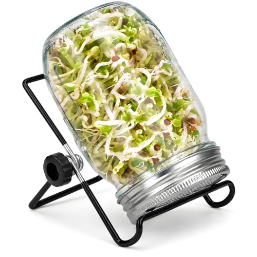 DOUBLE 2 C Single Jar Sprouting Kit