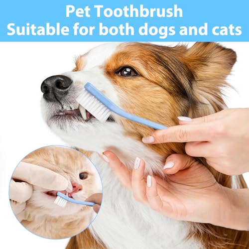 10 Stück Hundezahnbürste Set, 6 Fingerzahnbürste Hund, 1 Dreiseiten- & 2 Doppelkopf-Zahnbürste & 1 Runde Zahnbürste für Vollständige Zahnpflege, für Kleine, Mittelgroße und Große Pet