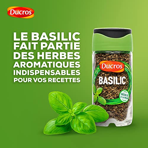 Basilic Ducros Le Flacon De 11 G - vue 3