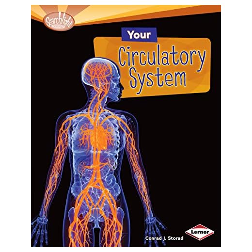 Your Circulatory System (Searchlight Books ™ — How Does Your Body Work?)