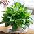 MUDEELA Plant Saucer 6 8 10 12 14 15 inch