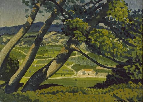 Cuadro en lienzo Alberi Provenza di Derwent Laees para renovar paredes vacias