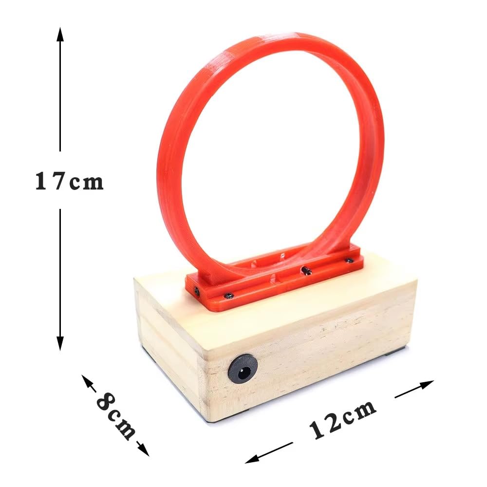 Toplionace DIY Perpetuum Mobile Modell - Experimentierkasten für Elektromagnetische Physik, Handgefertigtes Mint Lernspielzeug