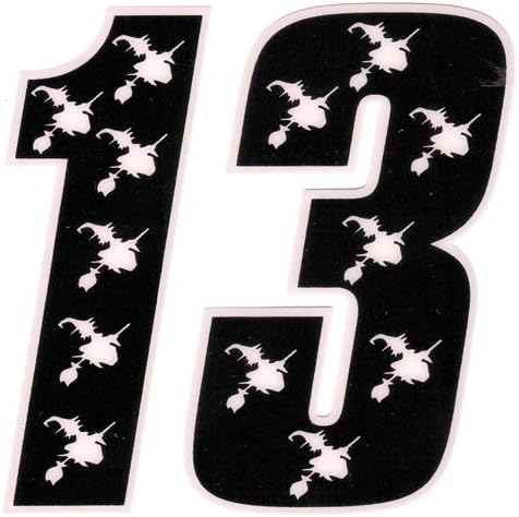 13 - Pagan, Wiccan Car Sticker - PWD40