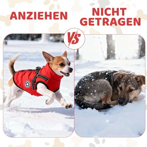 Hundemantel Winter mit Geschirr, Warme Hundejacke für Kleine Hunde, Wasserdicht, Reflektierend, Rot M, Hundemantel Für Kleine Hunde, Ideal Wintermantel Hund für kalte Tage, Hundejacke Wasserdicht