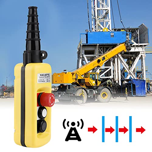 Commande de Grue Palan avec Arrêt d'Urgence pour Installation Facile