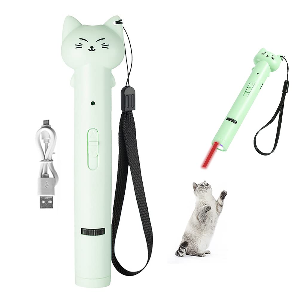 PARTSPOWER Laser Pointer Interative Cat Toy for Cats to Chase, Rechargeable Red Laser Light Pointer Exercises Training Tool for Kittens Cats Dogs (Green)
