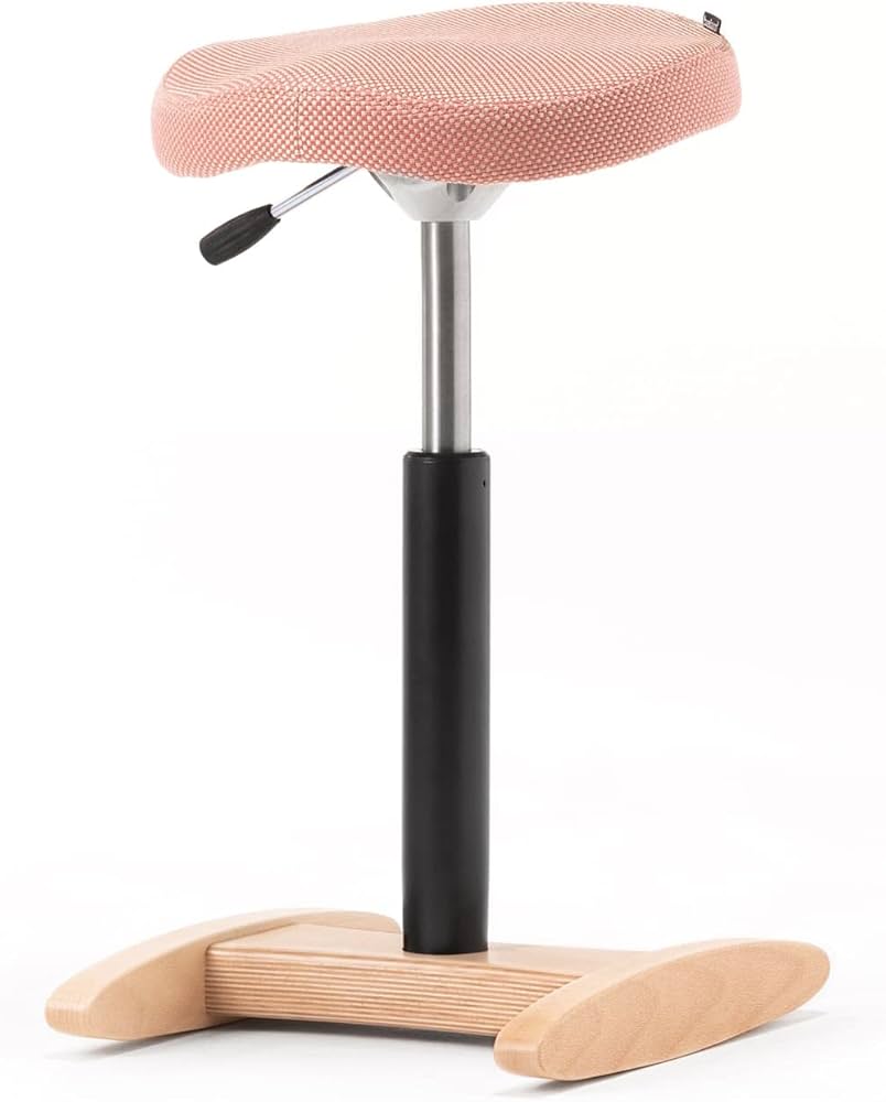 バランス シナジー】 腰痛対策バランスチェア カバー付き（旧サカモト