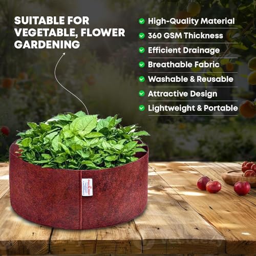 Image of Casa De Amor 350 GSM Geo Fabric Round Plant Grow Bag for Gardening (Maroon) (12x6, Pack of 5)