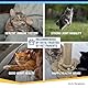 Nutriscience NutriScience SeniorAid Multivitamin-Gel für ältere Katzen, Futterzusatz, 50 ml