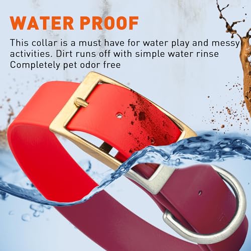 Image of Viper Biothane Heavy Duty Waterproof Dog Collar Strong Coated Nylon Webbing w /Solid Brass Hardware Odor-Proof Easy to Clean High Performance Fits Small Medium or Large Dogs, Cherry Red