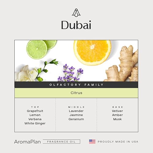 Miniatura 2 de AromaPlan Hotel Scents Dubai 16 Fl Oz (473ml), Aceite de Aroma y Difusor de Lujo para el Hogar y Hotel - Aceite de Difusor de Hotel para