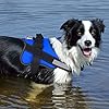 Bolux Dog Harness, No-Pull Reflective Dog Vest, Breathable Adjustable Pet Harness with Handle for Outdoor Walking - No More Pulling, Tugging or Choking (Blue, S) #5