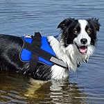 Bolux Dog Harness, No-Pull Reflective Dog Vest, Breathable Adjustable Pet Harness with Handle for Outdoor Walking - No More Pulling, Tugging or Choking (Blue, S) - Image 4